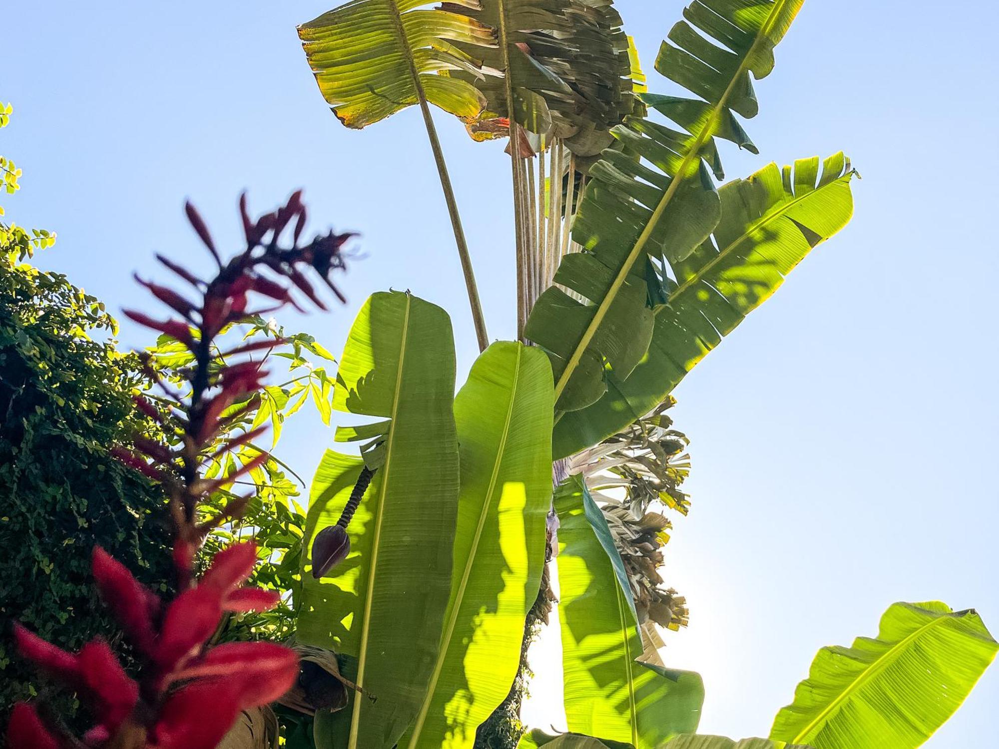 Hotel Bahia Mar Pousada Porto Seguro Zewnętrze zdjęcie